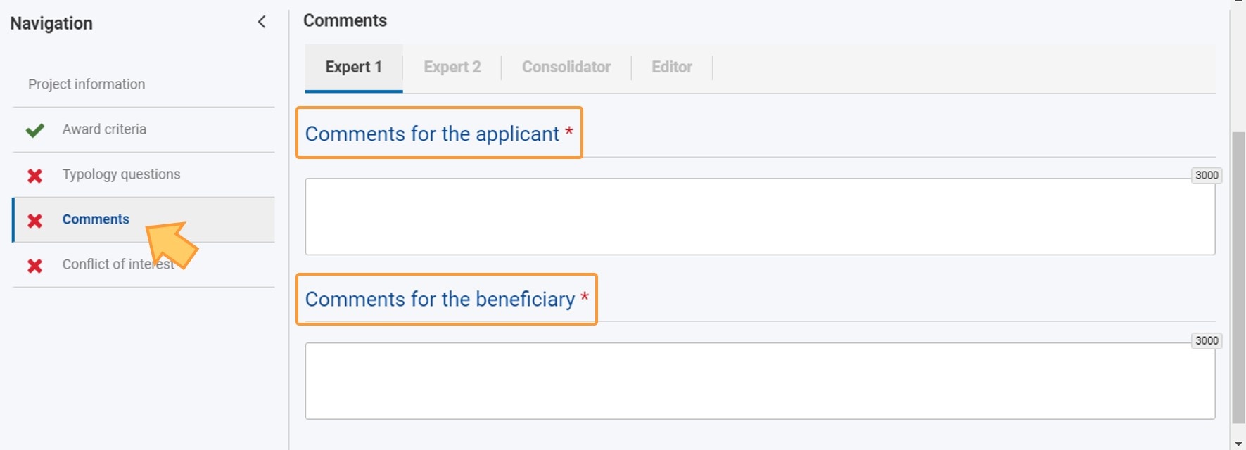 Example of Comments section of an assessment
